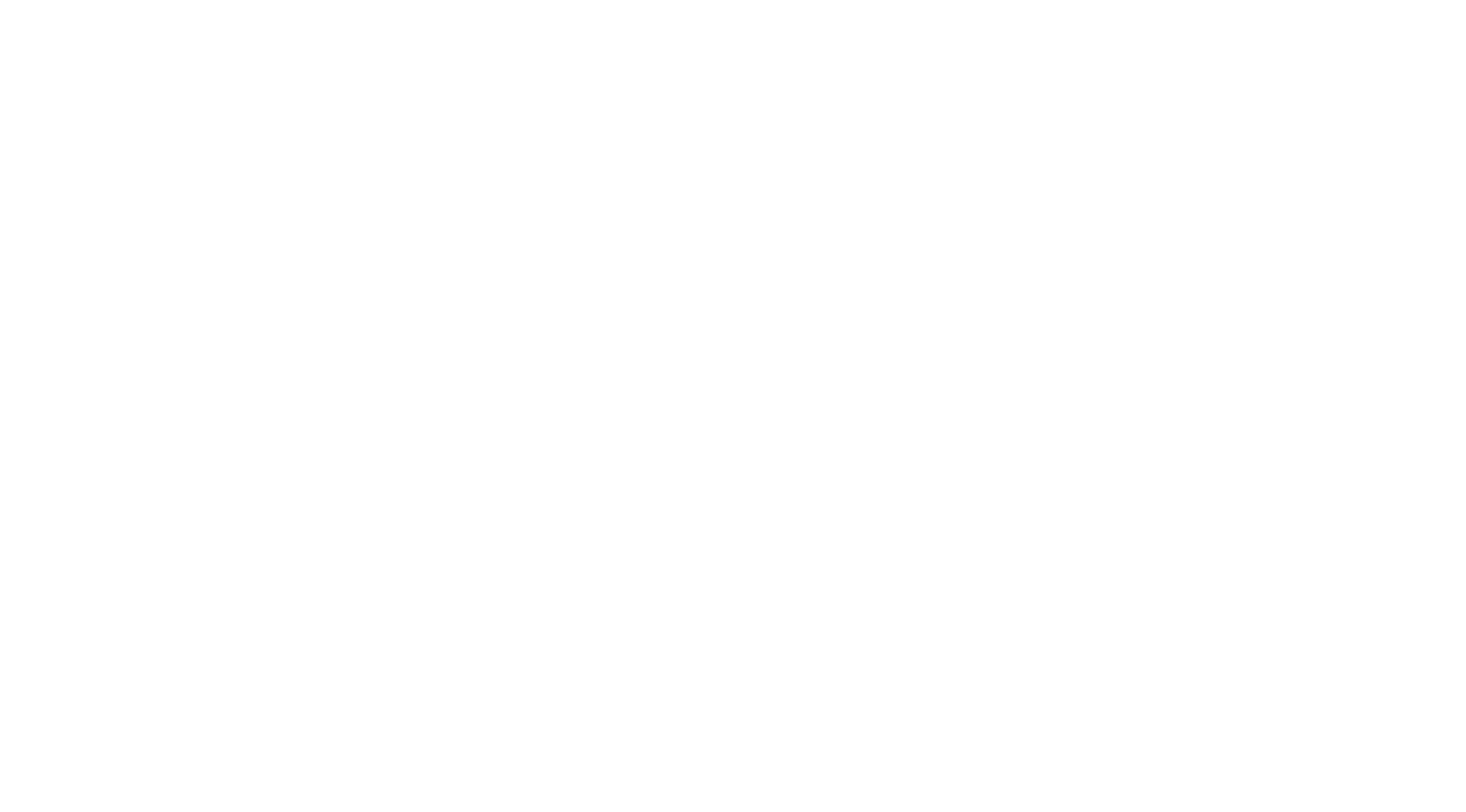 traicon logo (white).png